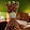 michelle cargile michelle cargile's profile photo
