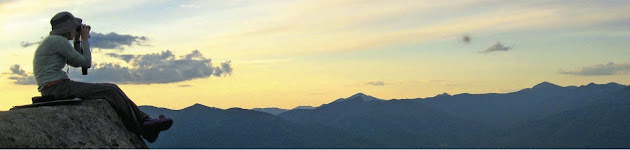 Cover photo
