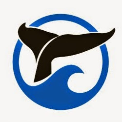 SpringTide Whale Watching & Eco Tours logo