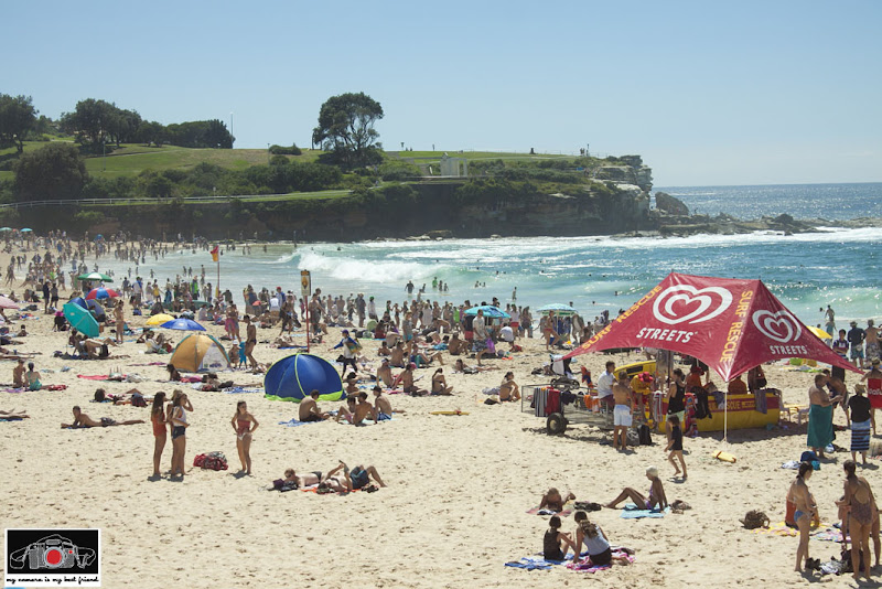 Coogee Beach_Sydney_Summer