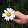 Korean Gossip Korean Gossip's profile photo