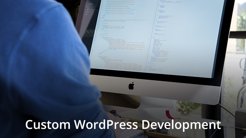 Desenvolvimento de produto WordPress personalizado