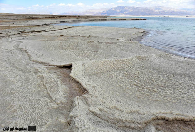 عشر حقائق عجيبه عن البحر الميت Dead_Sea_Halite_shore