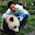 Alexander Liu's user avatar