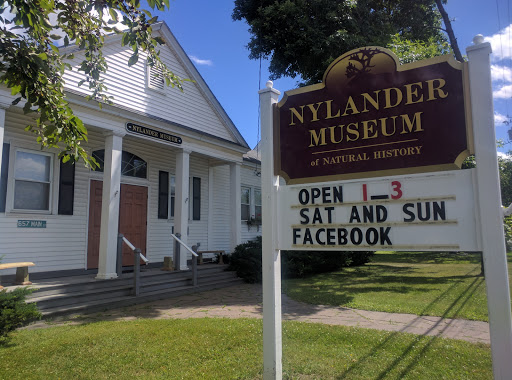Museum «Nylander Museum-Natural History», reviews and photos, 657 Main St, Caribou, ME 04736, USA