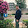 James Webster James Webster's profile photo