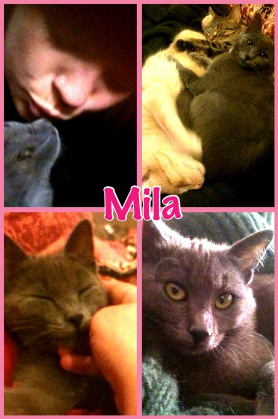 Mila