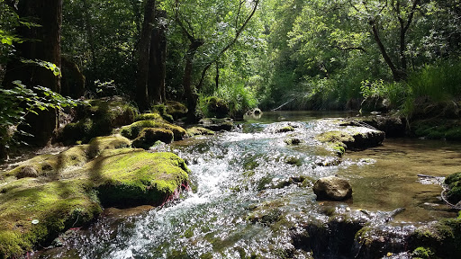 Gorges du Caramy