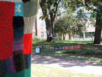 Yarn Graffiti
