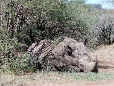 Photos of Waterberg Valley Lodge