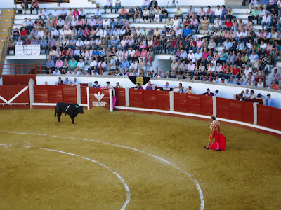 Vista de la Plaza de Toros de Pozoblanco en una corrida de toros de la Feria y Fiestas de Septiembre de 2011. Foto cortesía de Pozoblanco News, las noticias y la actualidad de Pozoblanco (Córdoba), a un click. Prohibido su uso y reproducción * www.pozoblanconews.blogspot.com