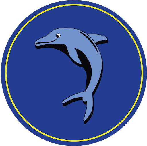 Dolphinz Swim School logo