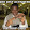 arsch ficken arsch ficken's profile photo