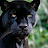 Tiffiny Cobbs avatar image