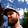 kevin murphy kevin murphy's profile photo