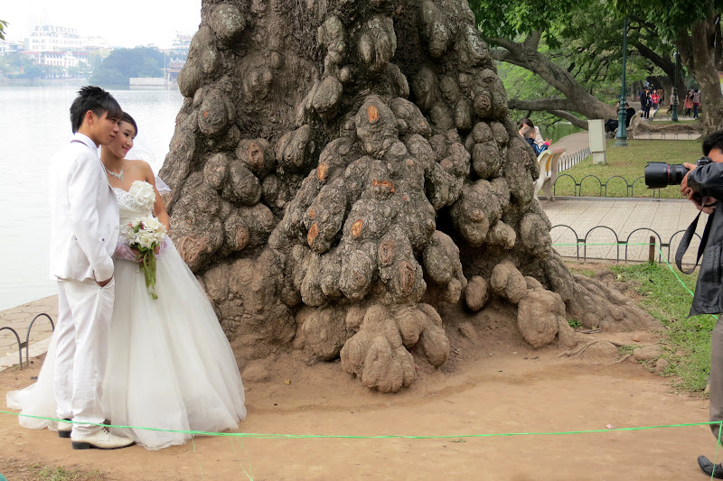 Young couple posing for wedding photos at Hoàn Kiếm lake