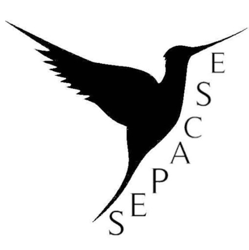 Escapes Frankfurt logo
