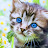 Callie Moss review
