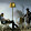 Mike Frazier Mike Frazier's profile photo