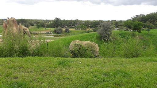 Zoo African Safari