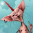 min riggs avatar image