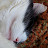 Katherine L avatar image
