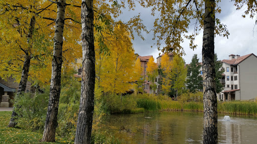 Telluride Ski Resort