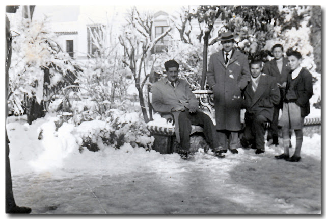 Los Jardines.-Nevada en Dos Hermanas 3 de febrero de 1954.