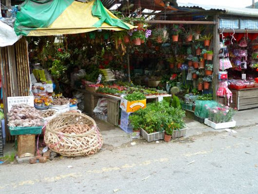 P1000379.jpg