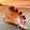 tuongvi tieu tuongvi tieu's profile photo