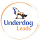 Underdog Leads
