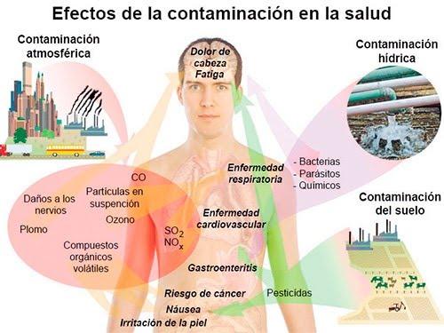 4.3. TERCERA ETAPA - PETROLEO PFM