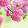 Shannon Bohle Shannon Bohle's profile photo