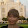 Moni Escalt Moni Escalt's profile photo