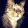 Gabe Reed Gabe Reed's profile photo