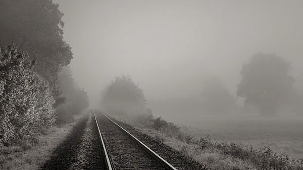 Cover photo