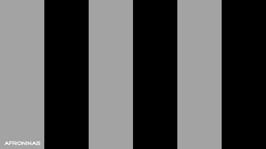 paleta de colores negro y gris