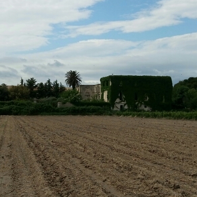Domaine Château du Lac Laurent Parnaud