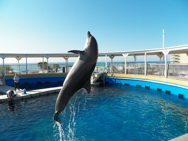 gulfarium