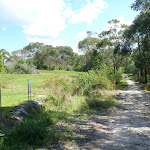 Perimeter Trail near Terrey Hills (306131)