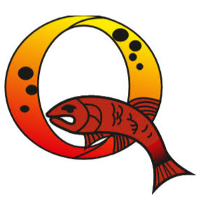 The New Quays logo