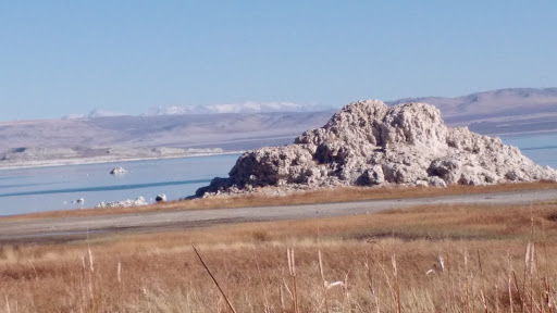 Mono Lake Park
