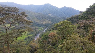 Photos of Vereda La Floresta