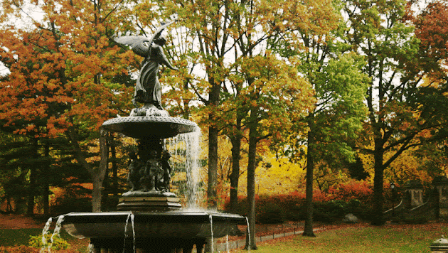 Cover photo