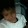 dhika zecptor dhika zecptor's profile photo