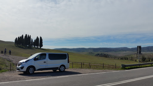 Cipressi di San Quirico d'Orcia