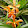 ALAM SENTUL ALAM SENTUL's profile photo