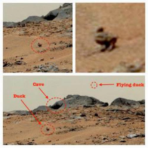 Two Duck Like Creatures On Mars Found By Curiosity Rover Aug 2013 Ufo Sighting News