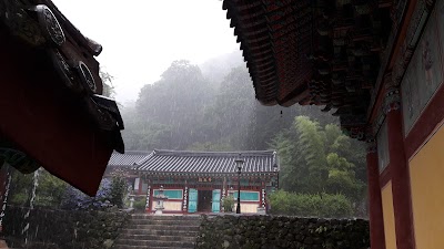 Photos of 지리산쌍계사지구