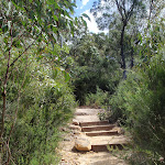 Steps up to Pennant Hills (77860)